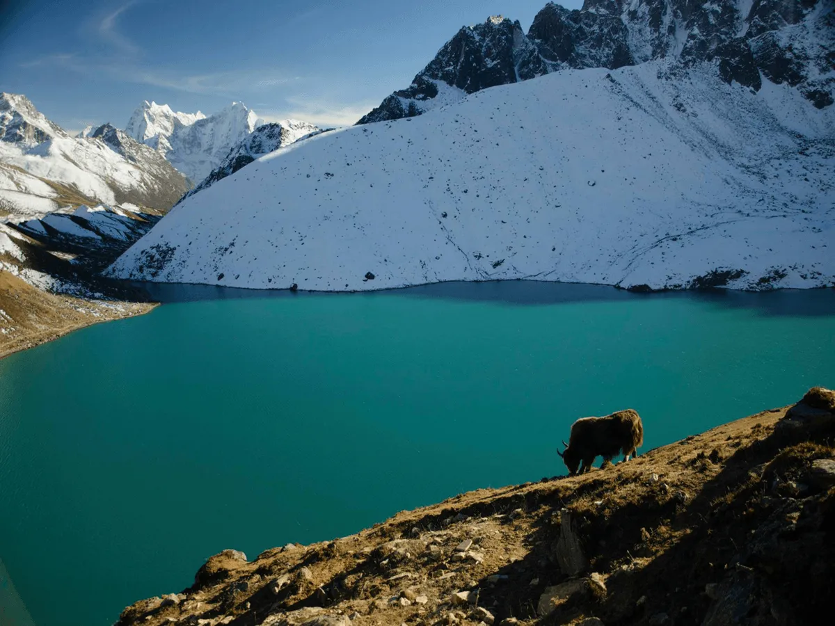 Gokyo-Lakes-trek-nepal