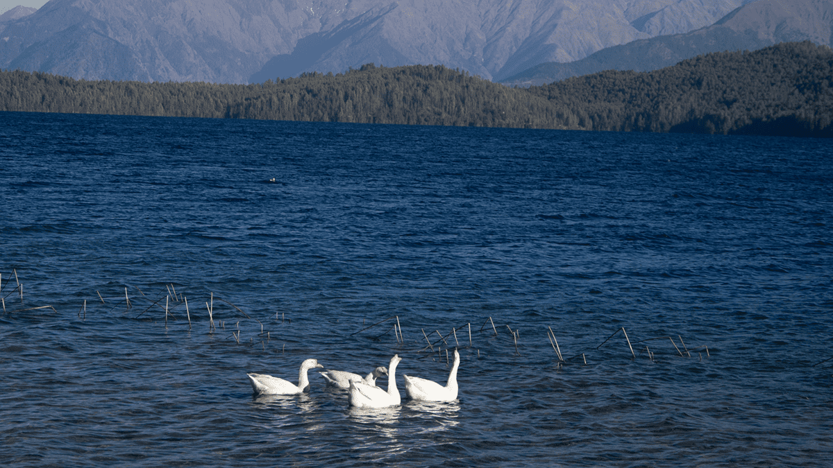 rara-lake-trek