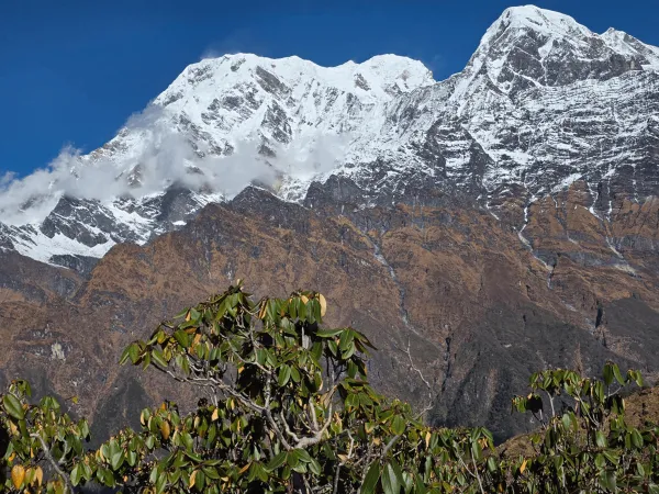 Annapurna South Himchuli View