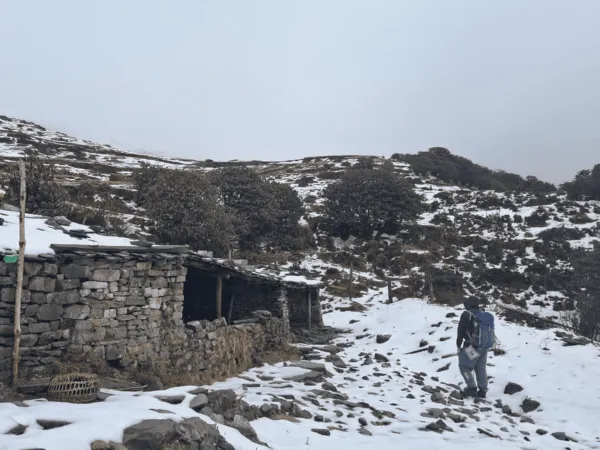Cow Shed On The Pikey Peak Trek Route