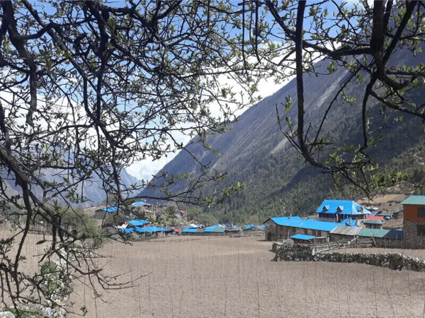 Hotel In Langtang Trek