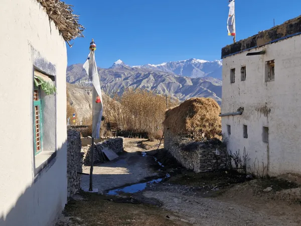 Houses In Charang
