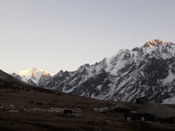 Langtang Mountain View