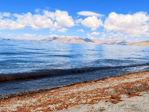 Mansarovar Taal Tibet