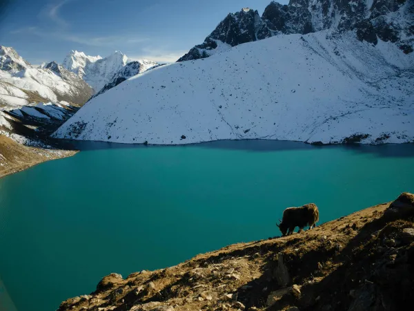 View From The Trail To Gokyo Ri