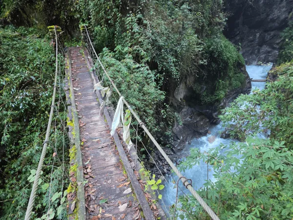 Wooden Bridge At Kanchenjunga Trail
